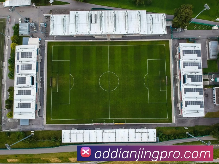 OD电竞分析品牌故事